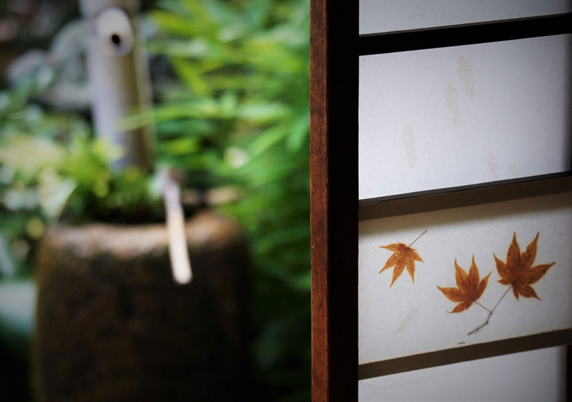 kyoto-garden.jpg