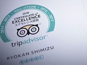 tripadviser-excellence.jpg